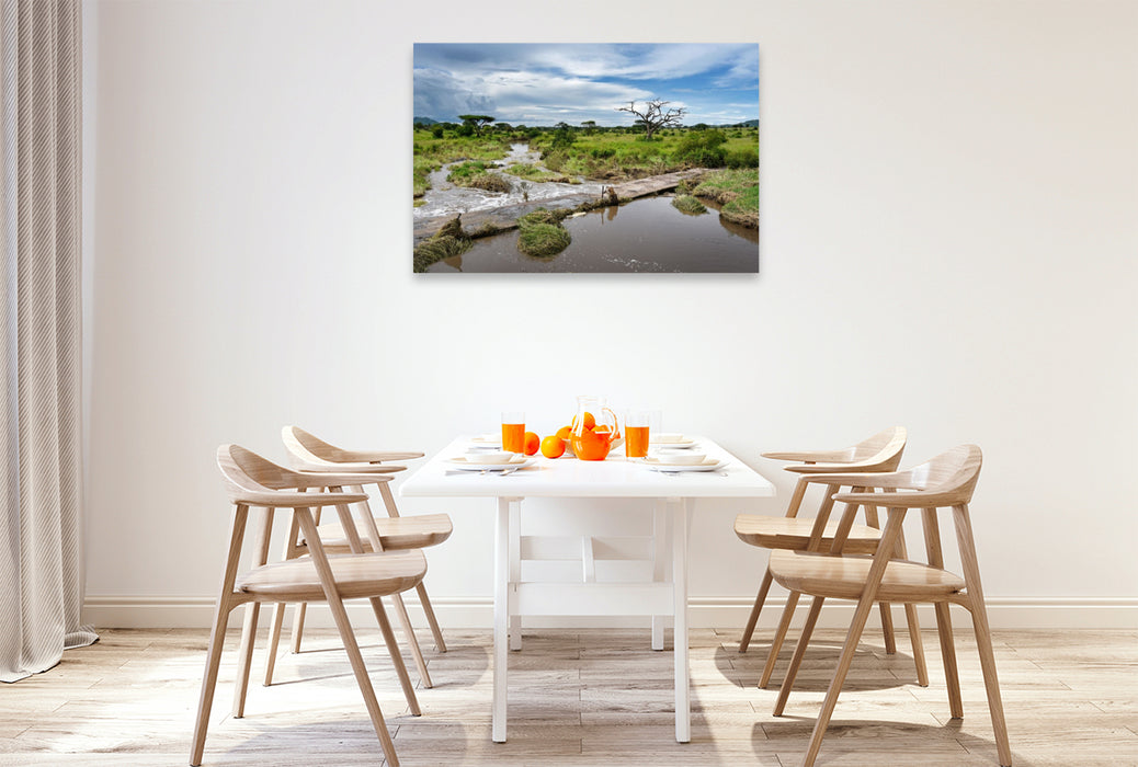 Premium Textil-Leinwand Serengeti-Nationalpark