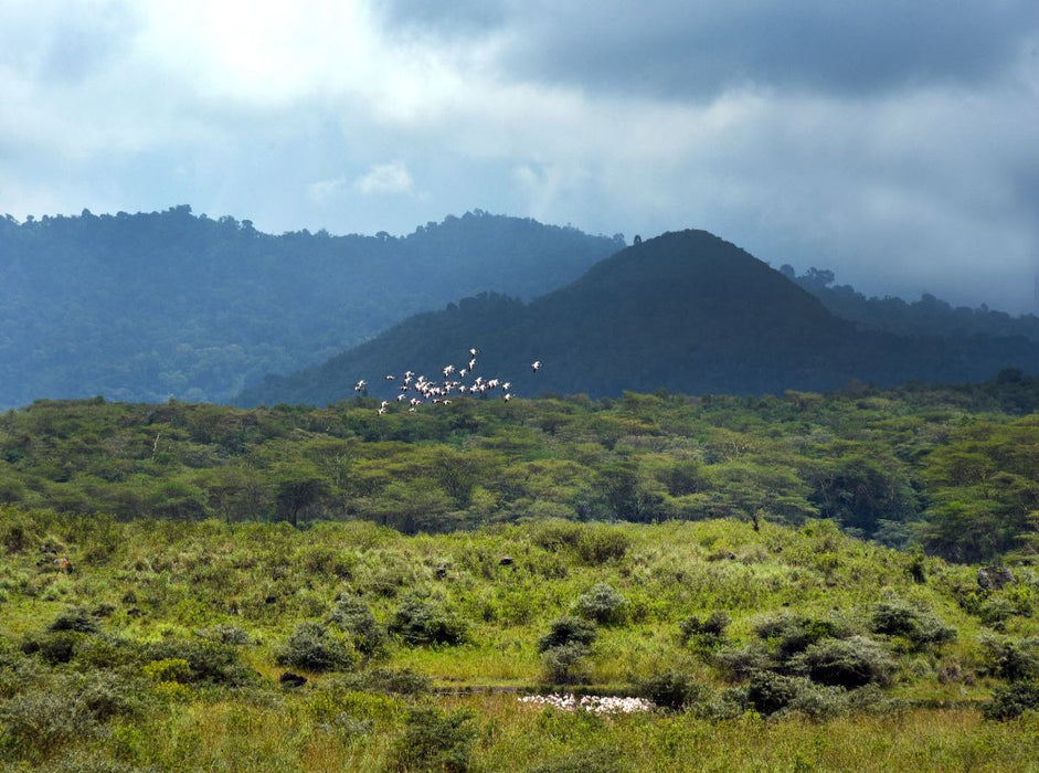 Arusha-Nationalpark - CALVENDO Foto-Puzzle'