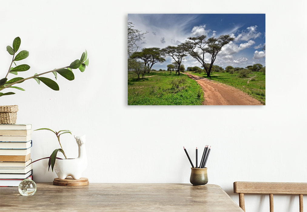 Premium Textil-Leinwand Tarangire-Nationalpark