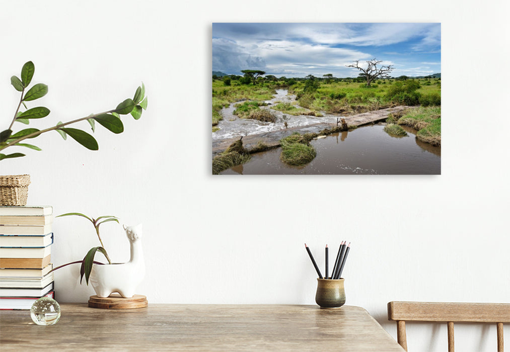 Premium Textil-Leinwand Serengeti-Nationalpark