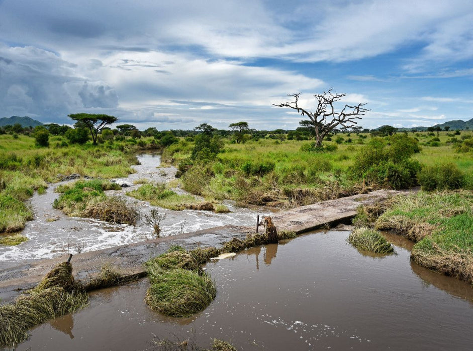 Serengeti-Nationalpark - CALVENDO Foto-Puzzle'