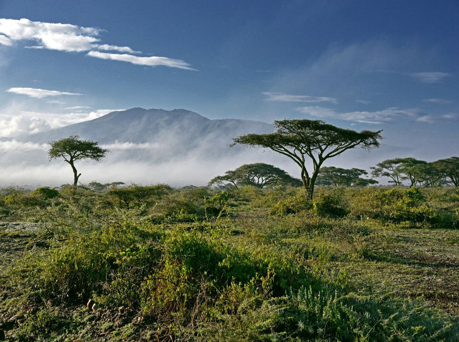Ngorongoro-Schutzgebiet - CALVENDO Foto-Puzzle'
