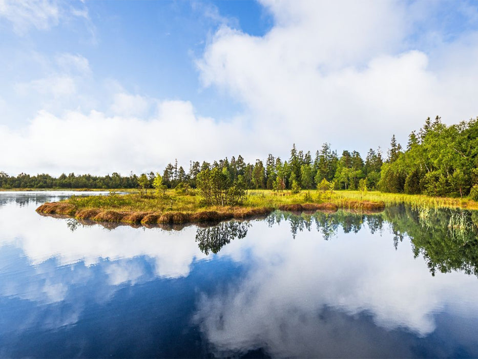Wildseemoor am Kaltenbronn - CALVENDO Foto-Puzzle'