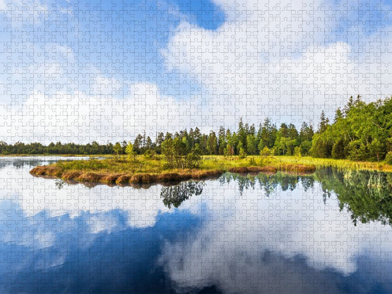Wildseemoor am Kaltenbronn - CALVENDO Foto-Puzzle'