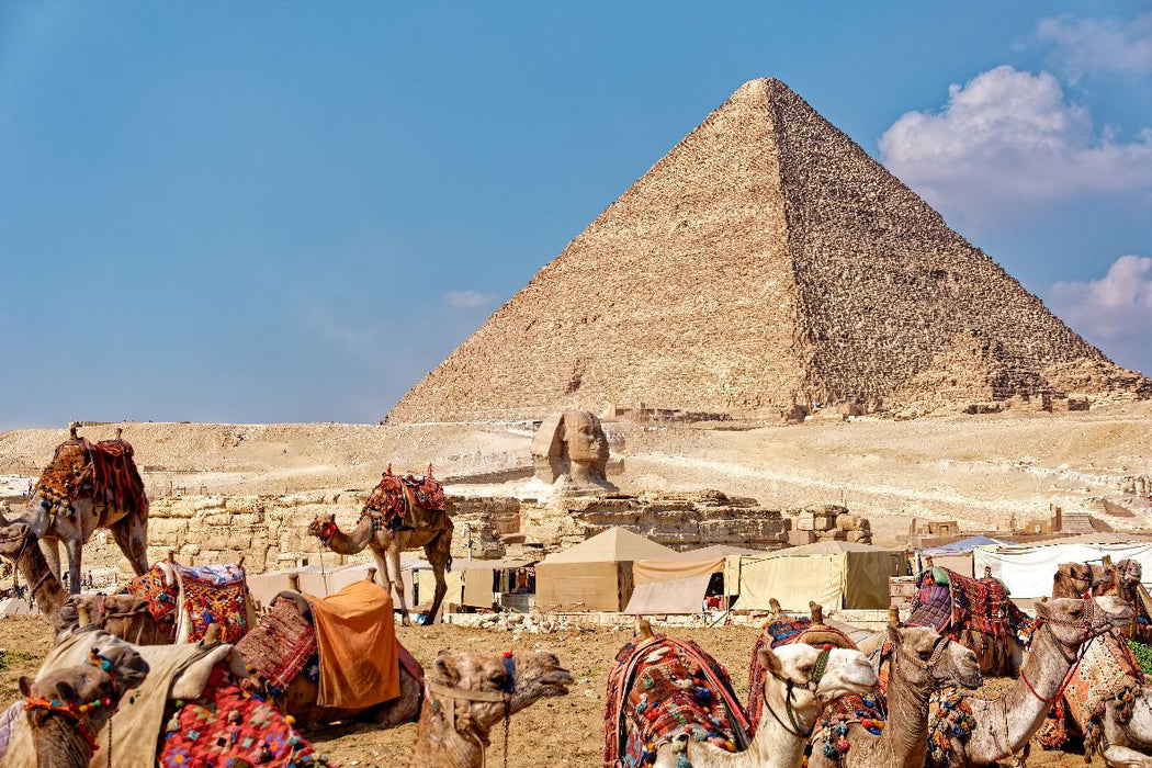 Premium Textil-Leinwand Doch noch geschafft: Cheops-Pyramide mit Kamelen
