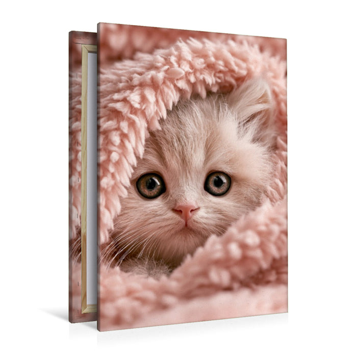 Premium Textil-Leinwand Ein Motiv aus dem Kalender Spaß mit Katzen