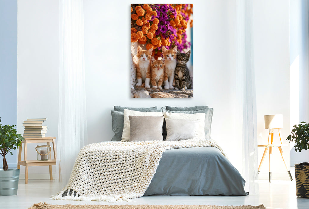 Premium Textil-Leinwand Freundschaft hat vier Pfoten