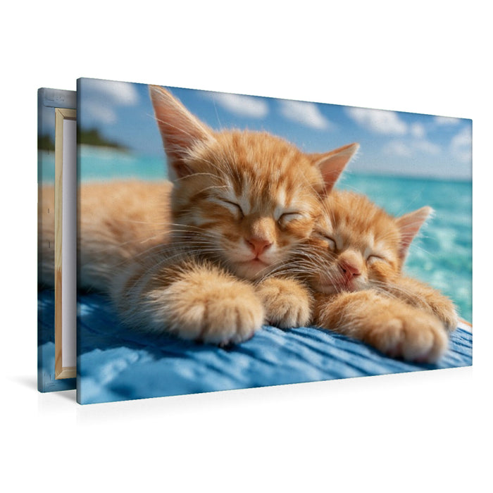 Premium Textil-Leinwand Meer, Sonne, Schnurren
