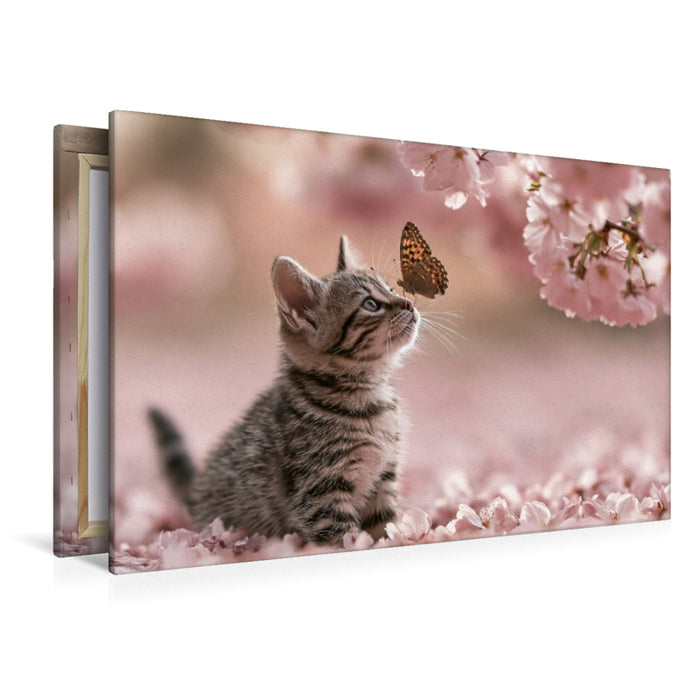 Premium Textil-Leinwand Ein Motiv aus dem Kalender Neugierig auf das Leben!