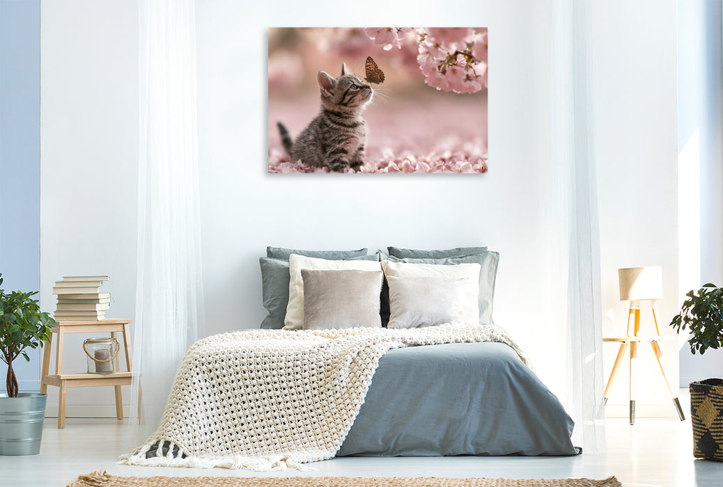Premium Textil-Leinwand Ein Motiv aus dem Kalender Neugierig auf das Leben!