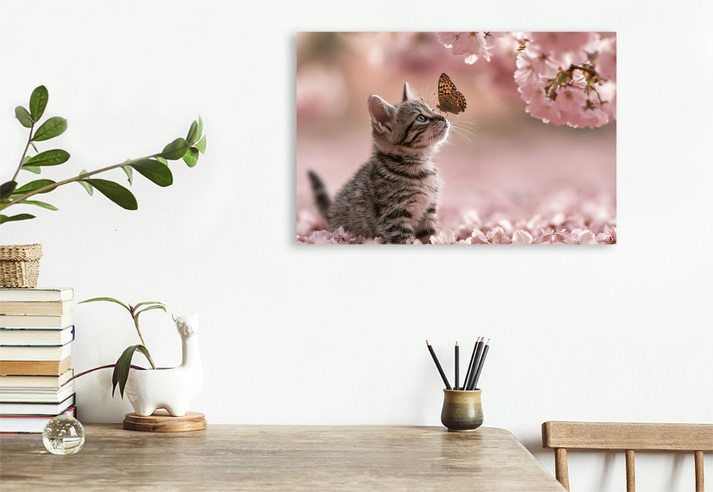 Premium Textil-Leinwand Ein Motiv aus dem Kalender Neugierig auf das Leben!