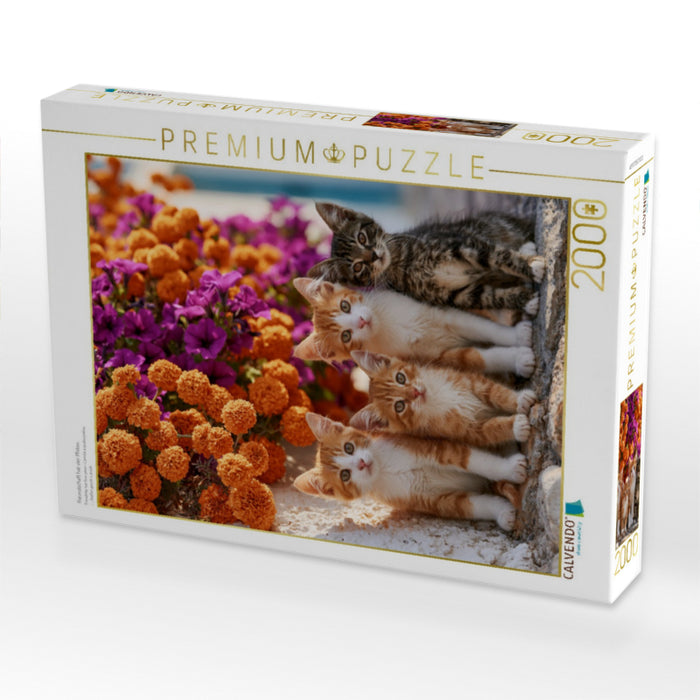 Freundschaft hat vier Pfoten - CALVENDO Foto-Puzzle'