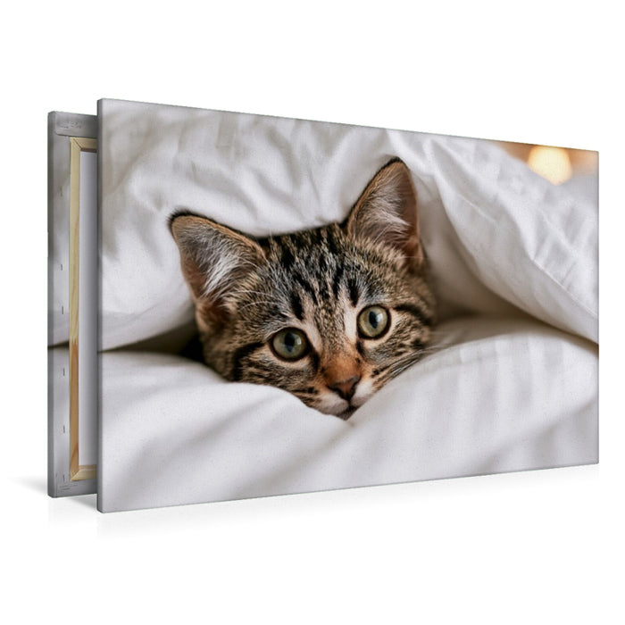 Premium Textil-Leinwand Warm eingepackt schnurrt es sich besser