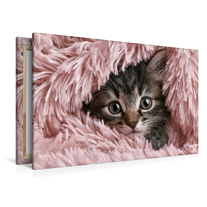 Premium Textil-Leinwand Verstecken? Ich doch nicht!