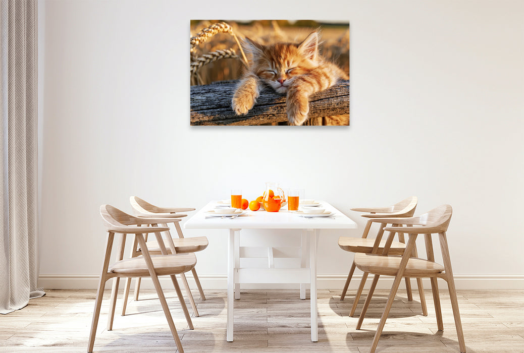 Premium Textil-Leinwand Mittagsschlaf mit Aussicht