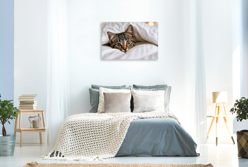 Premium Textil-Leinwand Warm eingepackt schnurrt es sich besser