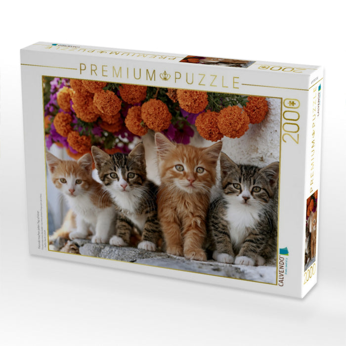 Freunde machen jeden Tag schöner - CALVENDO Foto-Puzzle'