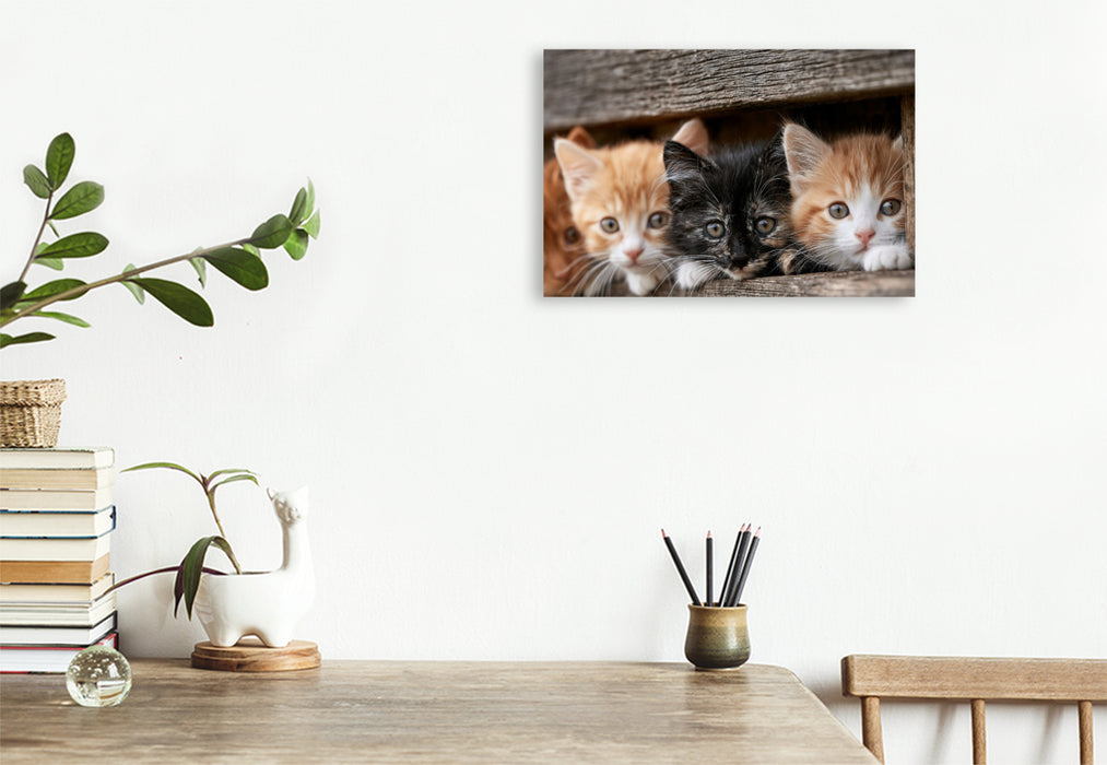 Premium Textil-Leinwand Zusammen wird jeder Tag besonders