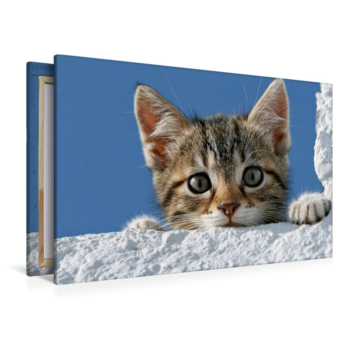 Premium Textil-Leinwand Ein Motiv aus dem Kalender Neugierig auf das Leben!