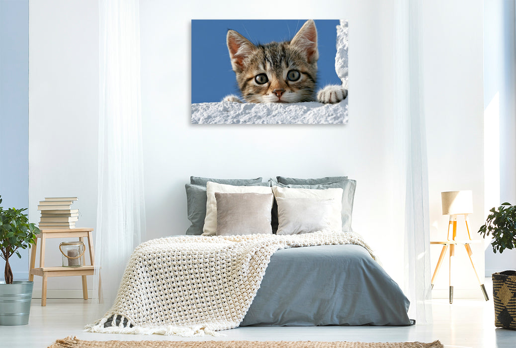 Premium Textil-Leinwand Ein Motiv aus dem Kalender Neugierig auf das Leben!