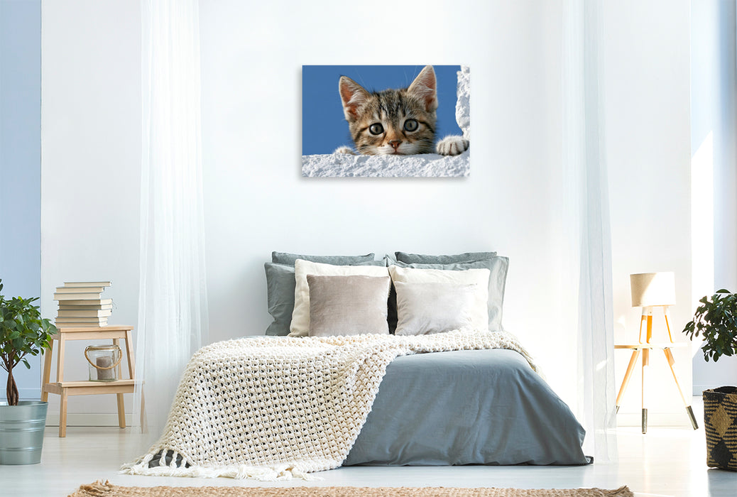 Premium Textil-Leinwand Ein Motiv aus dem Kalender Neugierig auf das Leben!