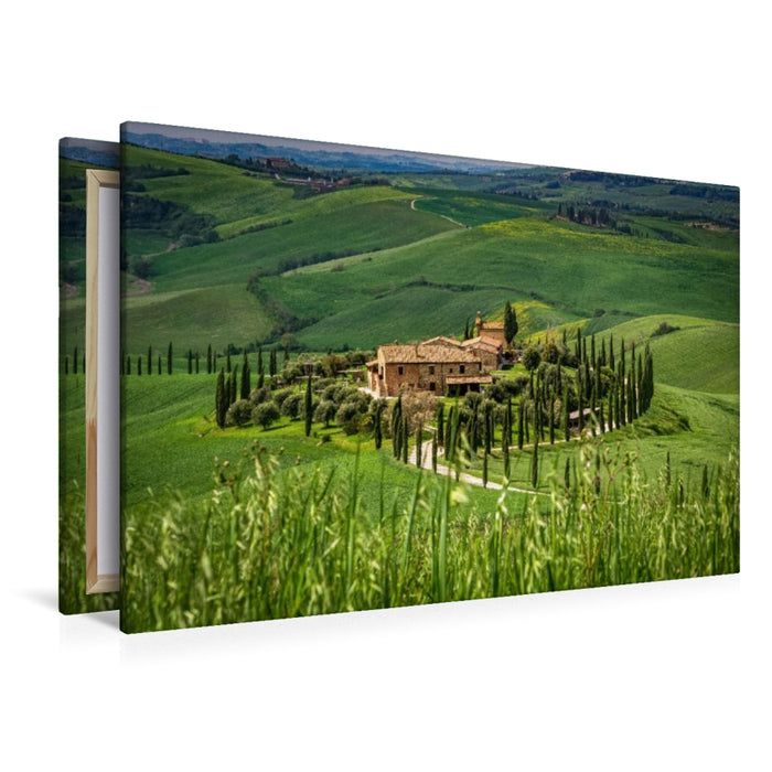 Premium Textil-Leinwand Zypressenallee zum Landgut in der Crete Senesi