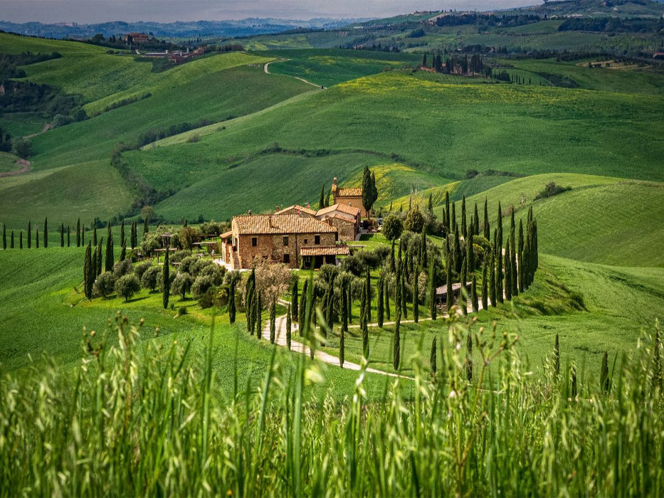 Zypressenallee zum Landgut in der Crete Senesi - CALVENDO Foto-Puzzle'