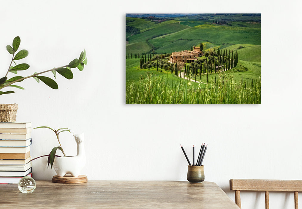 Premium Textil-Leinwand Zypressenallee zum Landgut in der Crete Senesi