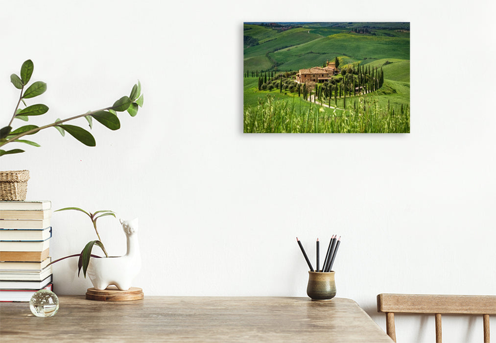 Premium Textil-Leinwand Zypressenallee zum Landgut in der Crete Senesi