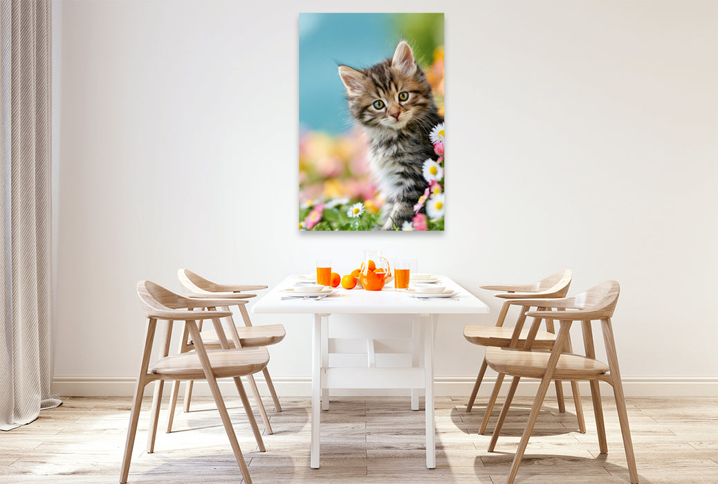 Premium Textil-Leinwand Ein Motiv aus dem Kalender Spaß mit Katzen