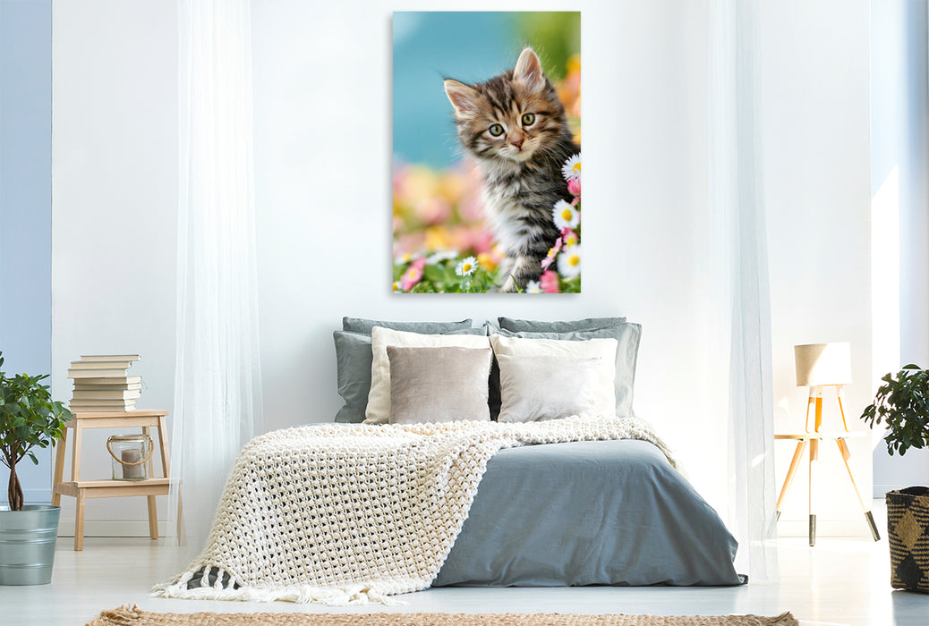 Premium Textil-Leinwand Ein Motiv aus dem Kalender Spaß mit Katzen
