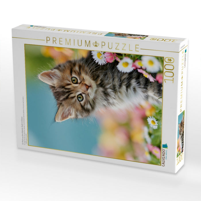 Ein Motiv aus dem Kalender Spaß mit Katzen - CALVENDO Foto-Puzzle'