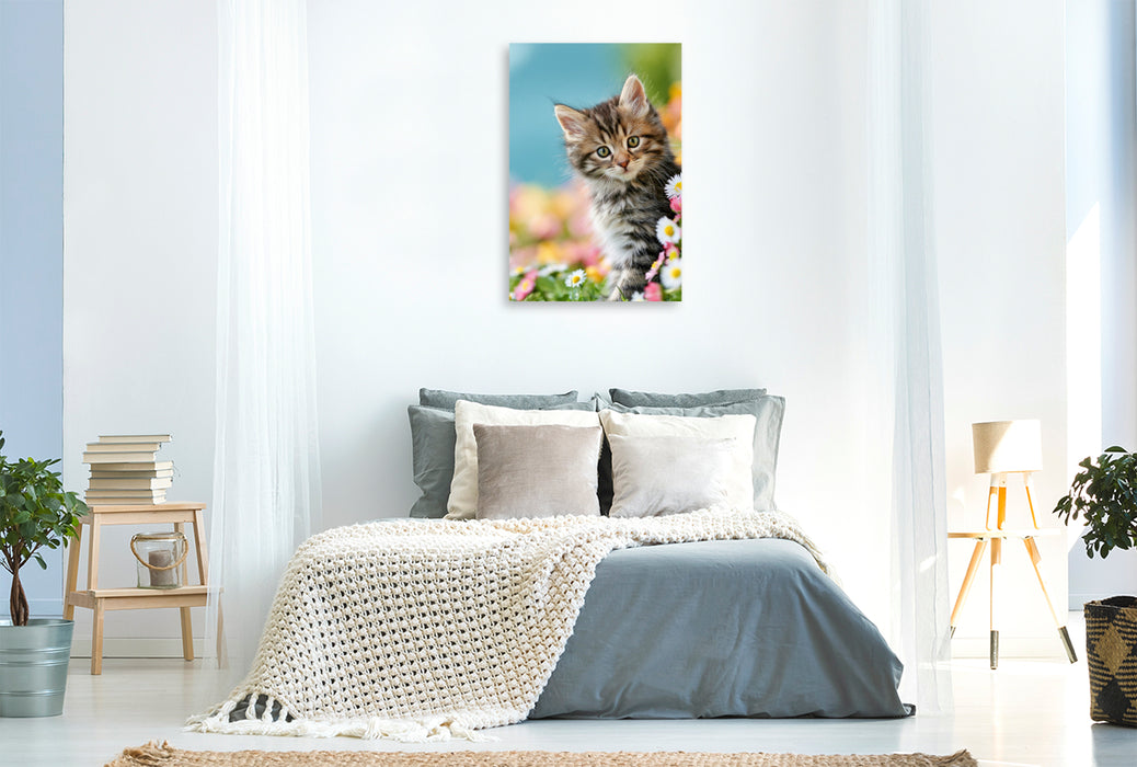 Premium Textil-Leinwand Ein Motiv aus dem Kalender Spaß mit Katzen