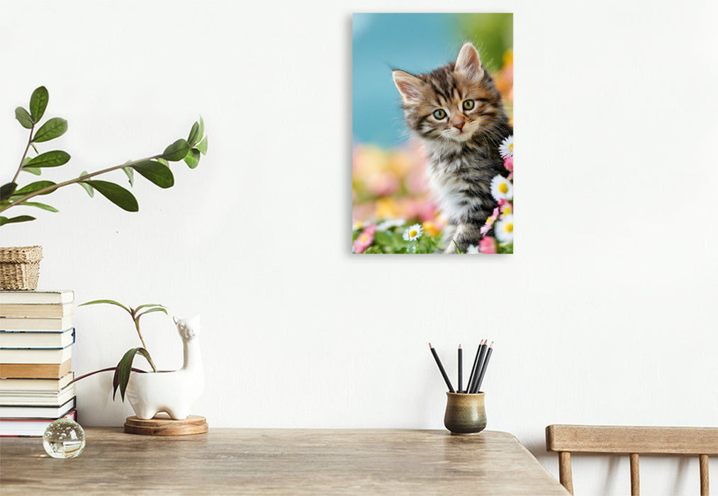 Premium Textil-Leinwand Ein Motiv aus dem Kalender Spaß mit Katzen