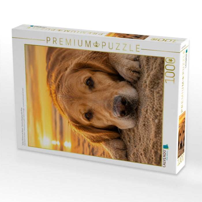 Golden Retriever am Strand – Sonnenuntergang voller Ruhe - CALVENDO Foto-Puzzle'