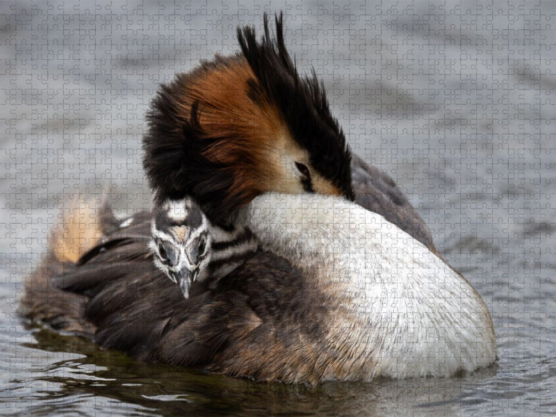 Zeit zum Ausruhen - CALVENDO Foto-Puzzle'
