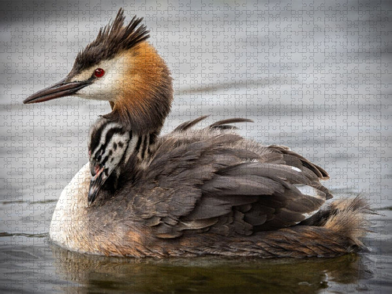 Geborgenheit - CALVENDO Foto-Puzzle'