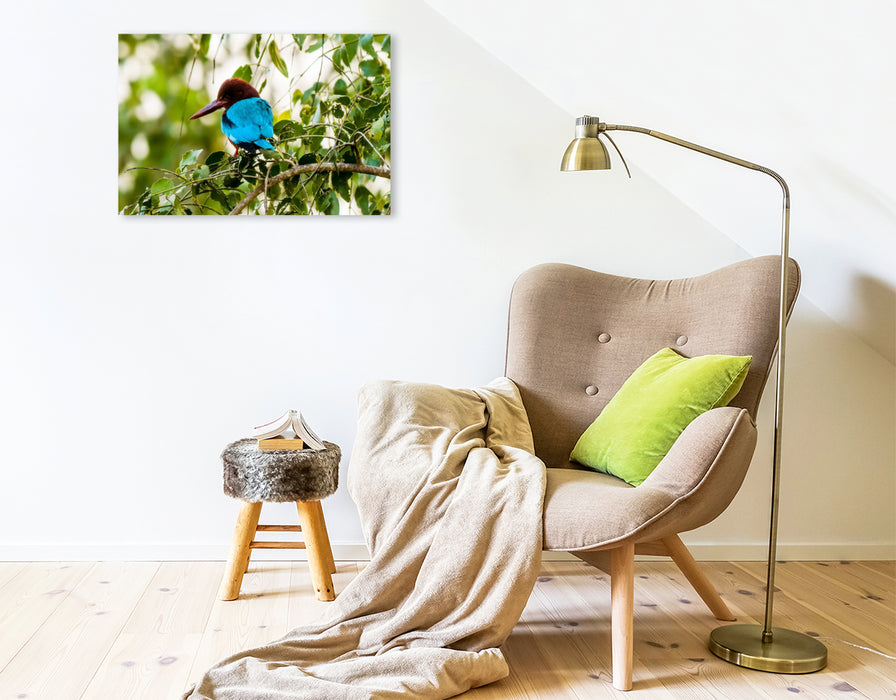 Premium Textil-Leinwand Weißkehlen Eisvogel