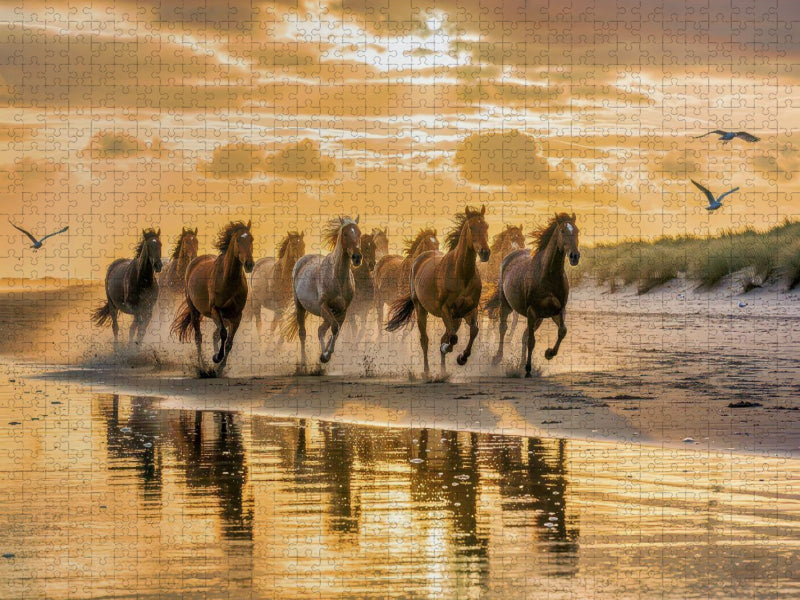 Wo Fell und Flut sich berühren. - CALVENDO Foto-Puzzle'