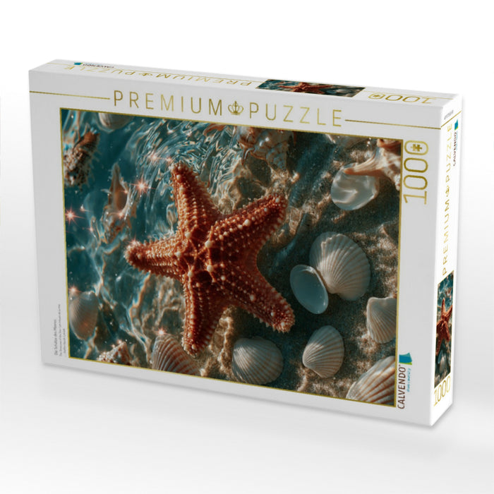 Die Schätze des Meeres - CALVENDO Foto-Puzzle'