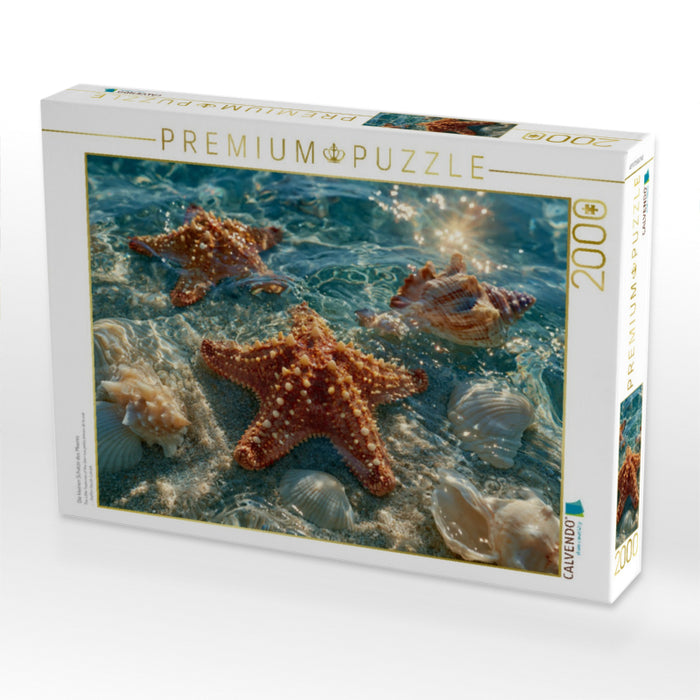 Die kleinen Schätze des Meeres - CALVENDO Foto-Puzzle'