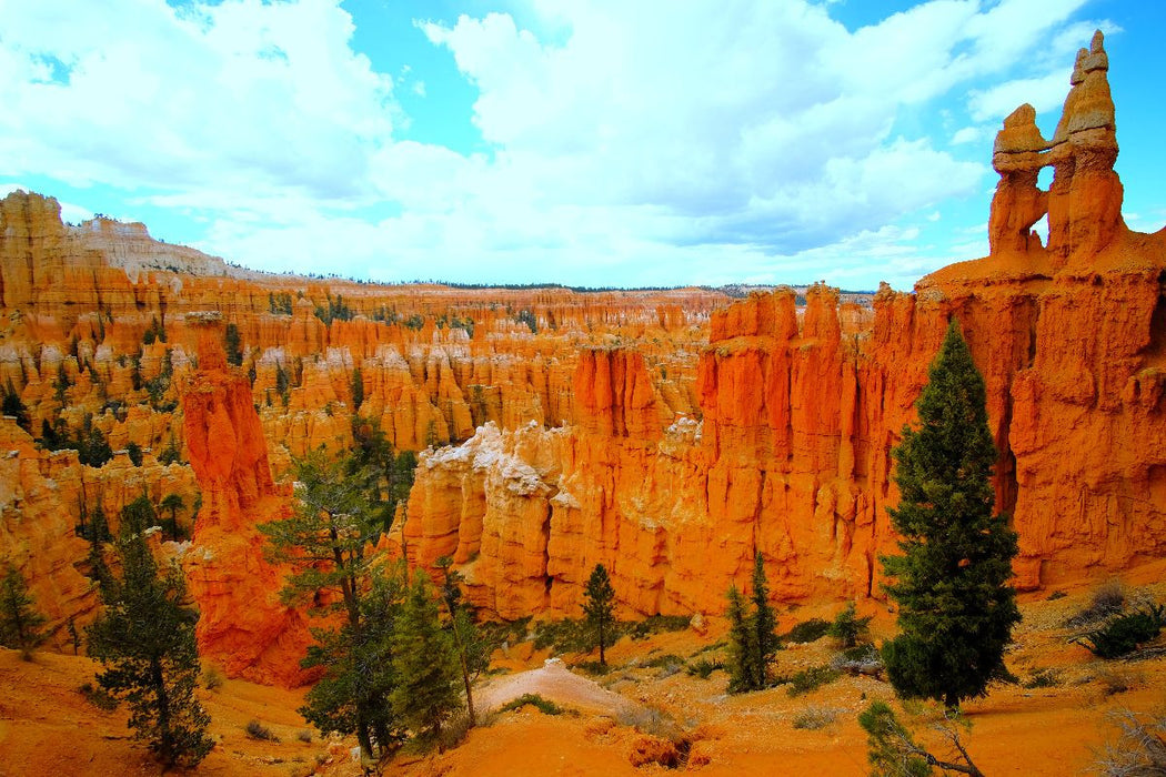Premium Textil-Leinwand Bryce Canyon - Utah