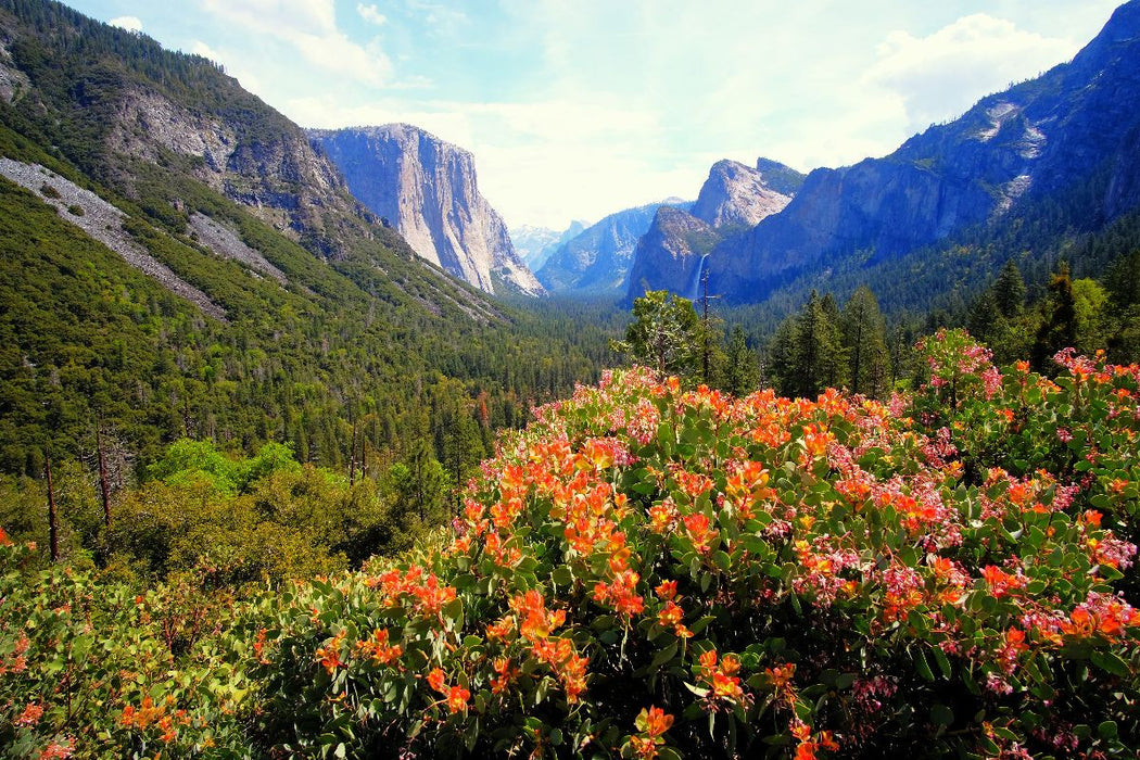 Premium Textil-Leinwand Yosemite Valley - Kalifornien