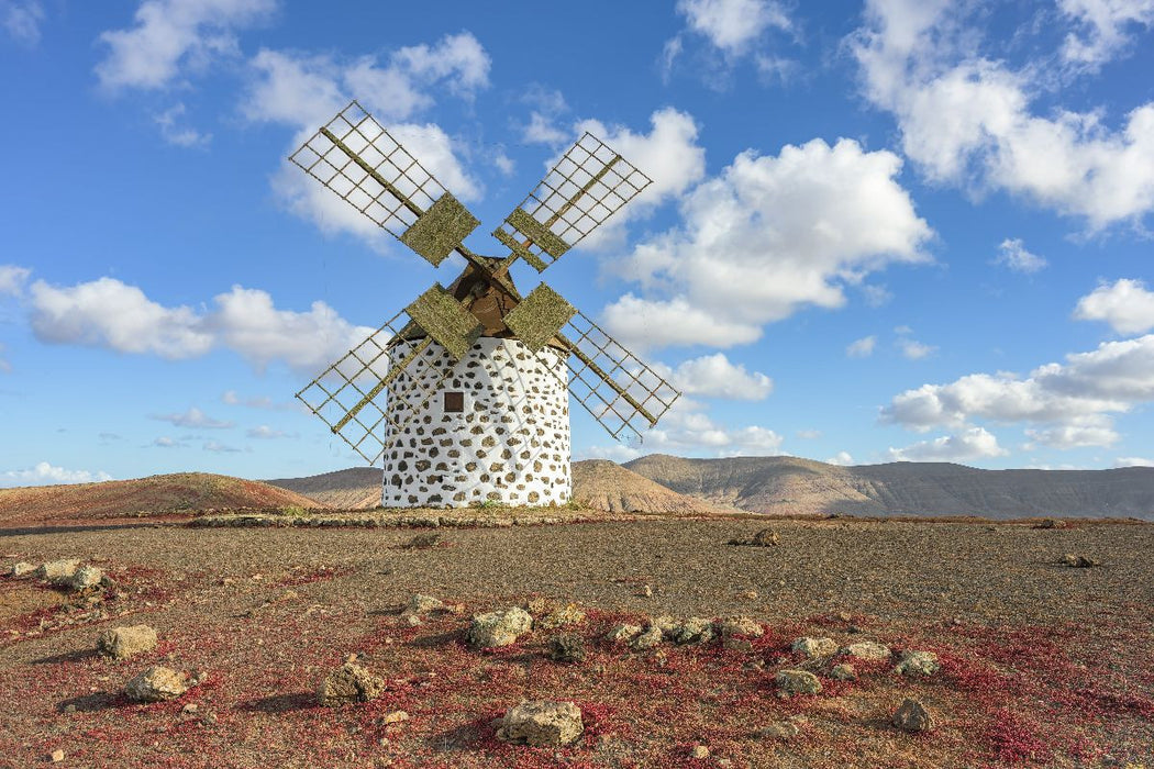 Premium Textil-Leinwand Windmühle in Villaverde auf Fuerteventura