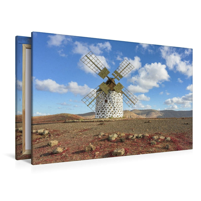 Premium Textil-Leinwand Windmühle in Villaverde auf Fuerteventura