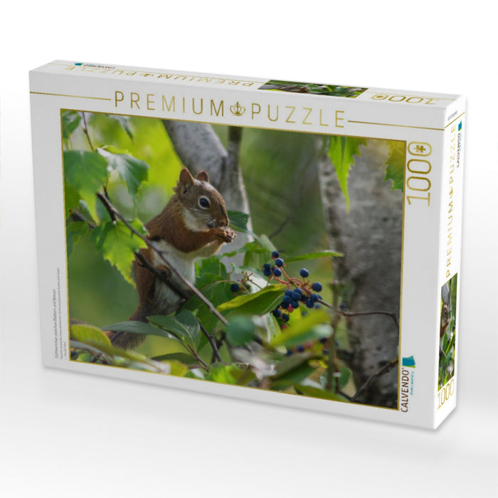 Eichhörnchen zwischen Blättern und Beeren - CALVENDO Foto-Puzzle'