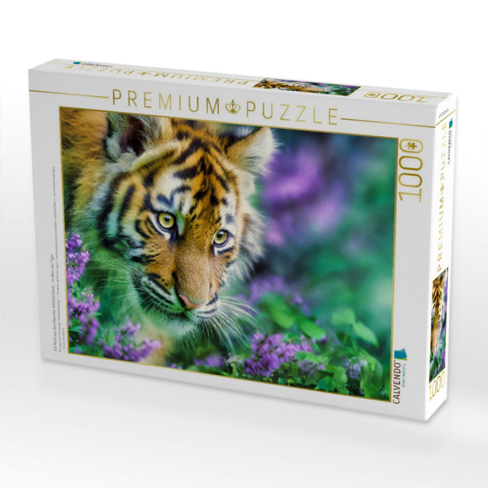 Ein Motiv aus dem Kalender Wild.Edel.Stark. - Im Bann der Tiger - CALVENDO Foto-Puzzle'
