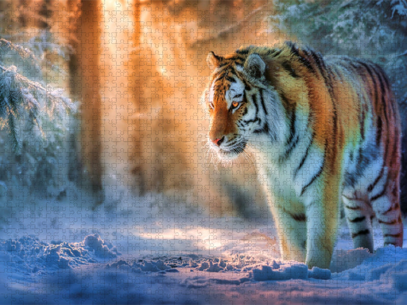 Zwischen Licht und Schatten - CALVENDO Foto-Puzzle'