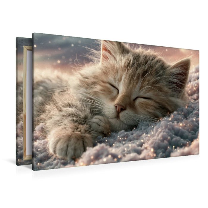 Premium Textil-Leinwand Liebe auf Samtpfoten