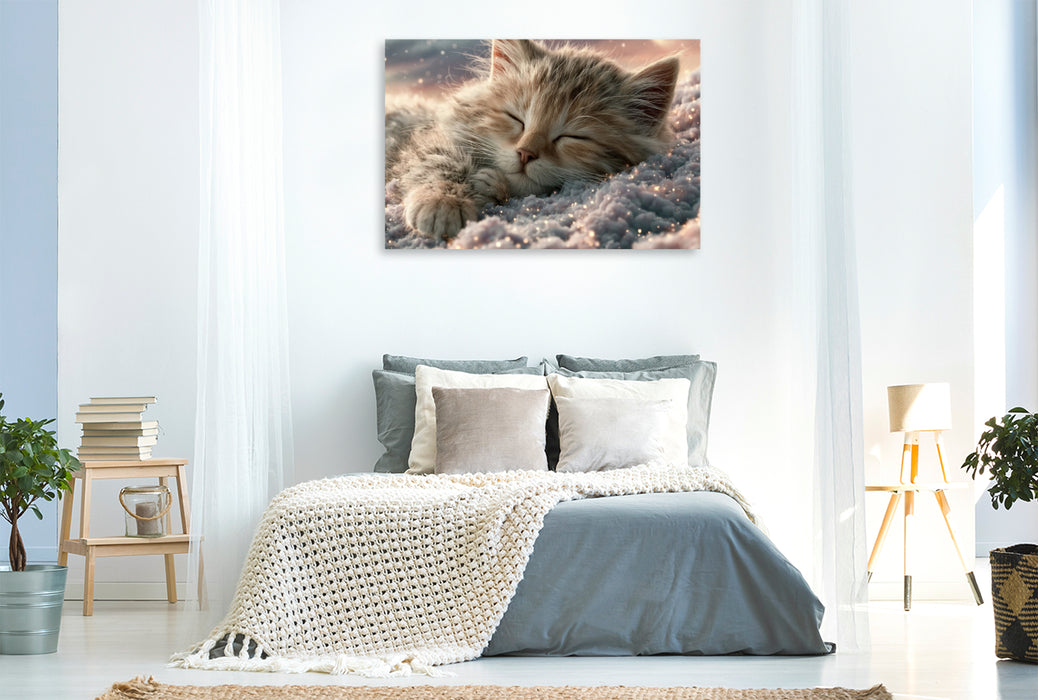 Premium Textil-Leinwand Liebe auf Samtpfoten